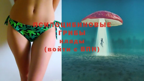 герыч Зерноград