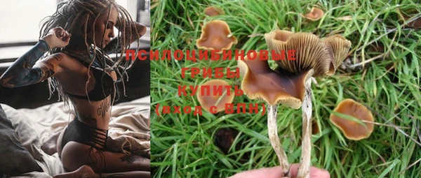 герыч Зерноград