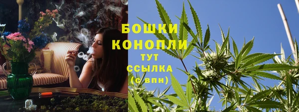 метадон Зеленодольск