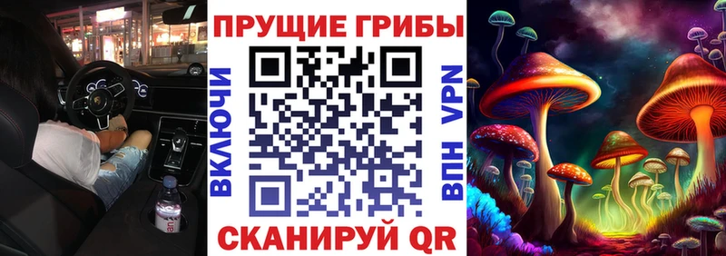 Купить  Вытегра  Галлюциногенные грибы ЛСД 